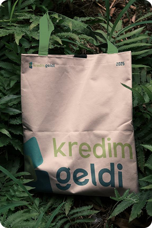 Kredimgeldi Tasarım Sistemi